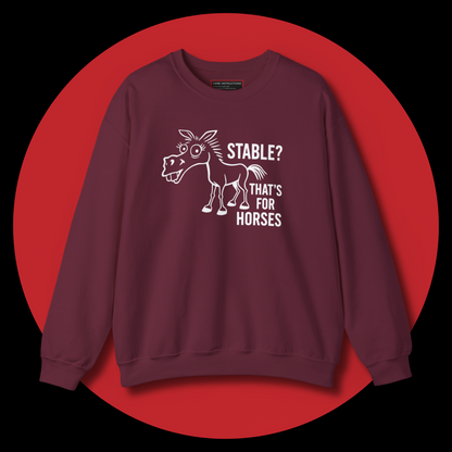 Stable? That’s for Horses